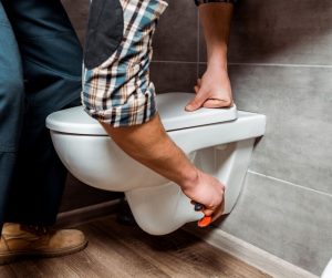 How to Remove Toilet Seat with Hidden Fixings And Bolts