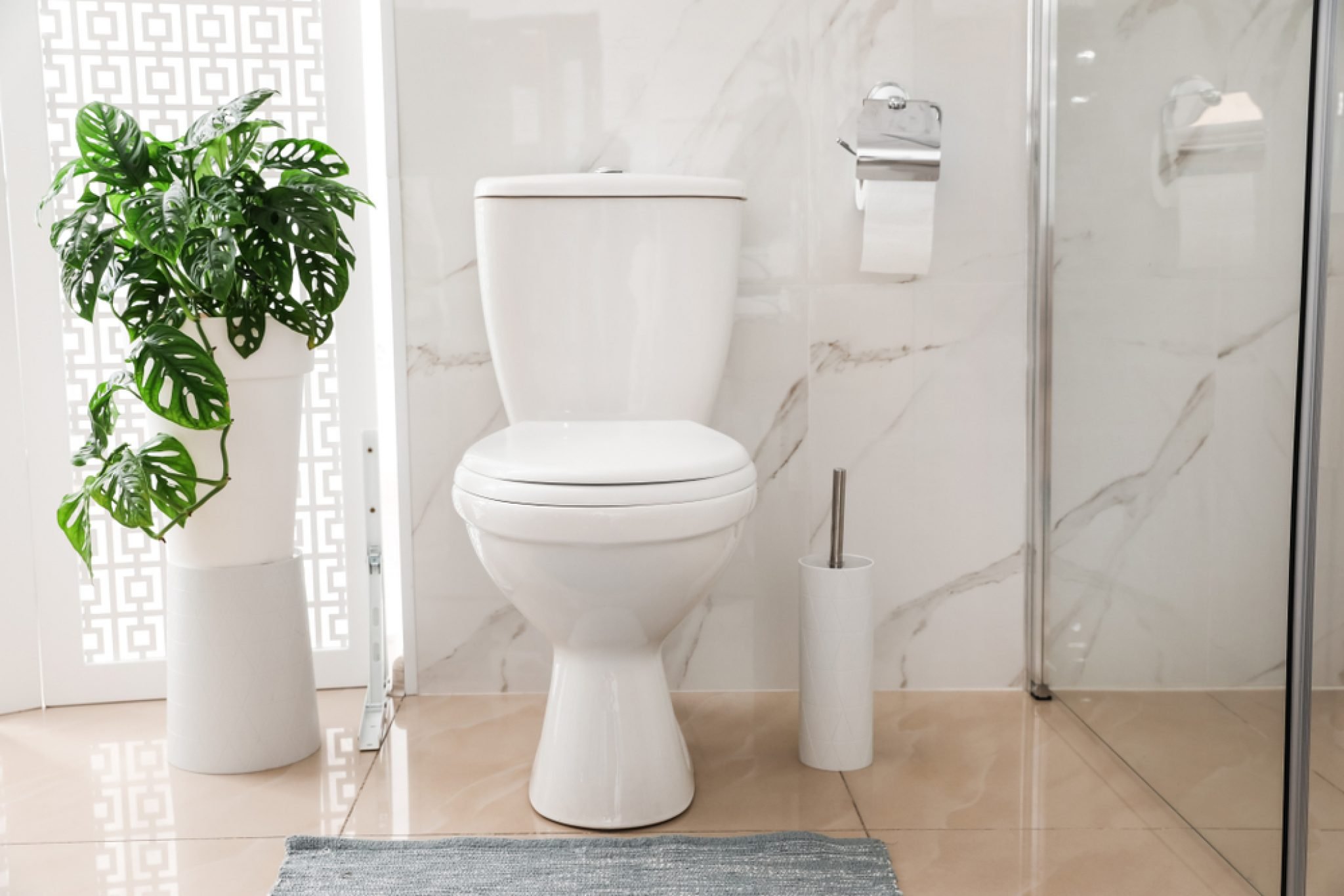 Top 5 Best 27 Inch Depth Toilets For Small Bathrooms In 2023