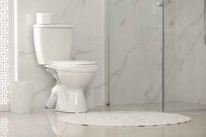 Toto Neorest 700H Reviews 2021 | Awesome Or Overrated?