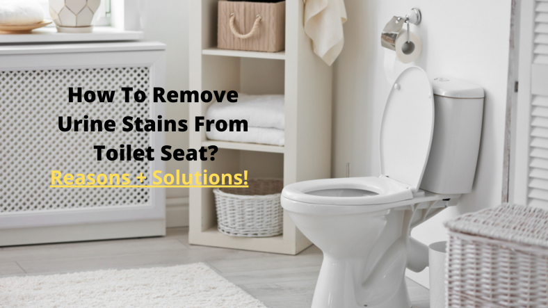 How To Remove Urine Stains From Toilet Seat