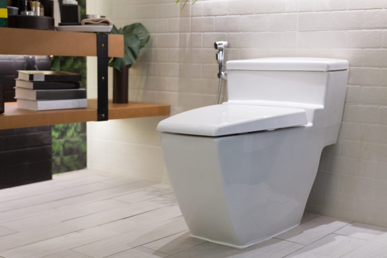 Kohler Highline Toilet Reviews