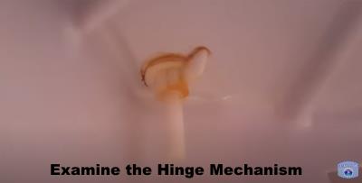 examine the hinge mechanism 