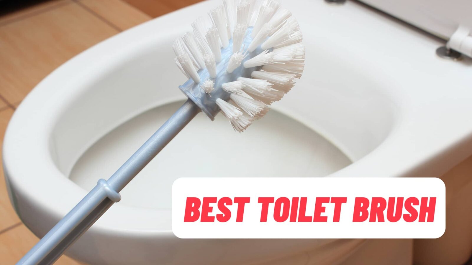 Best Toilet Brush